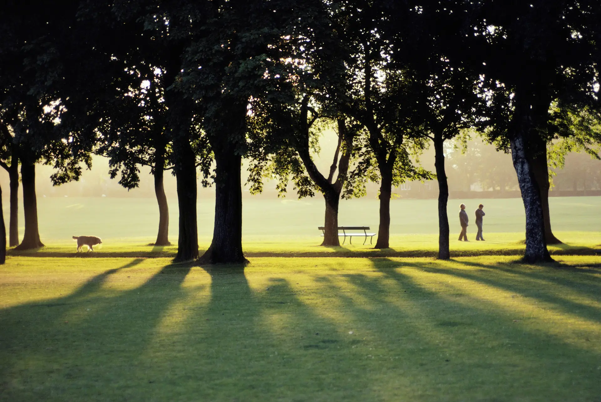Centro De Saúde Do Beato